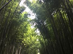 -同里国家湿地公园