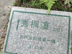 -梧桐山风景名胜区