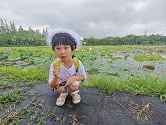 -上海长兴岛郊野公园