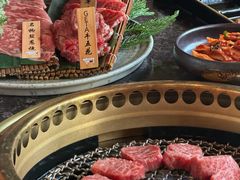 -老乾杯(深圳湾万象城店)