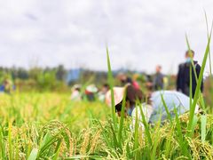 -满天星幼儿园(北京太阳宫园)