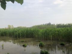 -永定河休闲森林公园