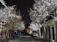 -智慧湾科创园