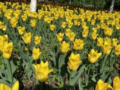 -长春公园(普阳街道)