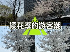 -新天地活力PARK