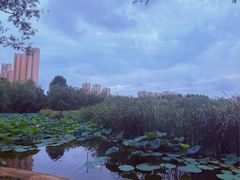 -前关湿地公园