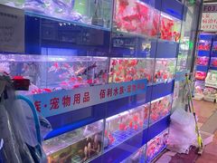 -朝来春花卉市场
