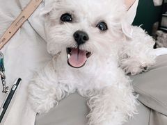 -伽利略剧本探案馆(国贸店)