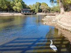 -石家庄市动物园