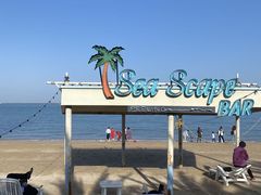 -巨鹏飞梦幻海岸