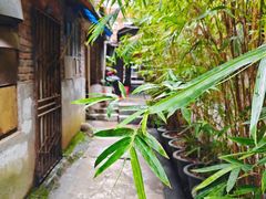 -花楸树下(观水路店)