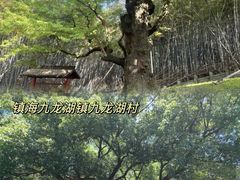 -宁波市保国寺古建筑博物馆