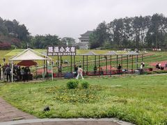 -保利石象湖景区
