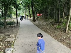 -紫金山天文台
