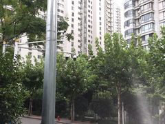 -新湖明珠城