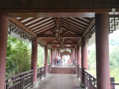 -张坝桂圆林公园