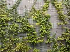 -绍兴大禹开元观堂-若耶厅