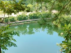 -王借岗森林公园