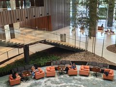 -北京望京凯悦酒店The Lounge大堂酒廊