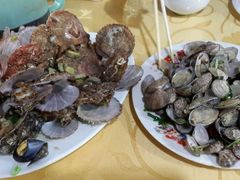 android_upload_pic-日照海滨国家森林公园