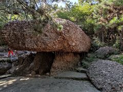 -山叶口景区