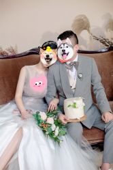 -青禾蒙娜丽莎婚纱摄影(武汉总店)