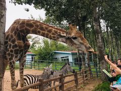 -大连森林动物园