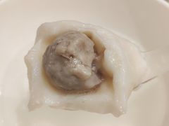 鲜肉汤团-七宝老街汤团(上海世纪汇广场店)