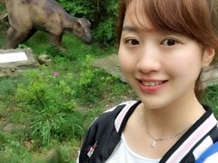 -木兰云雾山