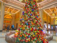 -上海和平饭店 Fairmont Peace Hotel