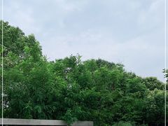 -宁波杭州湾新区汽车客运站