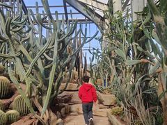 -南通洲际绿博园