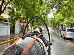 -天津五大道文化旅游区