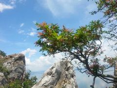 -抚仙湖禄充风景区