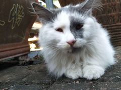 游乐设施-栖霞仙馆