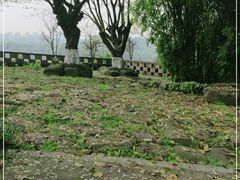 -重庆园博园