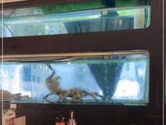 -蟹后Crabber(水悦城店)