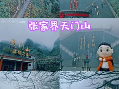 -张家界天门山国家森林公园