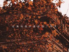 -蠡湖中央公园
