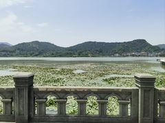 -鸣鹤古镇