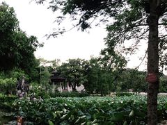 -惠州西湖丰渚园