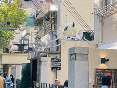 -Bitter酒吧(五原路店)