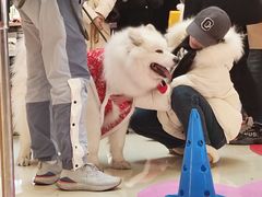 -龙湖成都上城天街