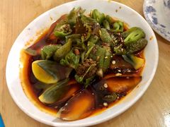 -东吴霸王兔(松青路店)
