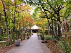 -轻井泽高原教堂