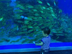 -成都浩海立方海洋公园