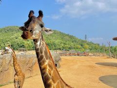 -杭州野生动物世界