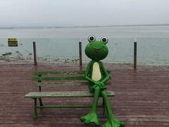 -观澜小洱海