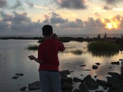 -南汇嘴观海公园