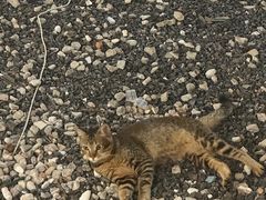-DGE季风钓虾营地·团建·聚会